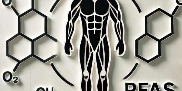 Shock Chimico: I PFAS Nascosti Nella Tua Vita Stanno Riducendo la Tua Massa Muscolare